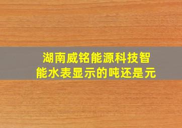 湖南威铭能源科技智能水表显示的吨还是元