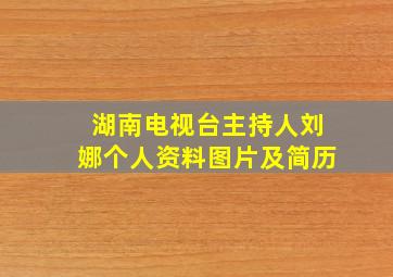 湖南电视台主持人刘娜个人资料图片及简历