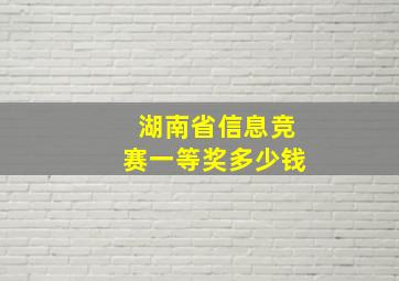 湖南省信息竞赛一等奖多少钱