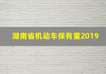 湖南省机动车保有量2019