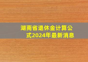 湖南省退休金计算公式2024年最新消息