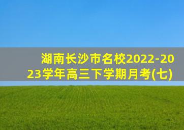 湖南长沙市名校2022-2023学年高三下学期月考(七)