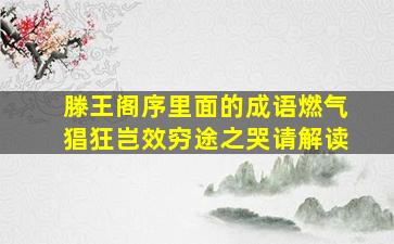 滕王阁序里面的成语燃气猖狂岂效穷途之哭请解读