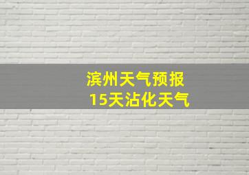 滨州天气预报15天沾化天气