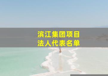 滨江集团项目法人代表名单