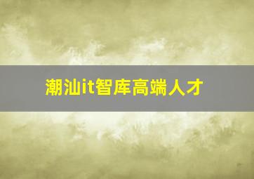 潮汕it智库高端人才