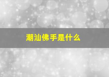 潮汕佛手是什么