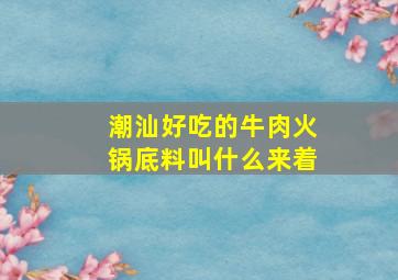 潮汕好吃的牛肉火锅底料叫什么来着