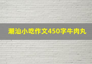 潮汕小吃作文450字牛肉丸