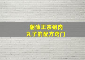 潮汕正宗猪肉丸子的配方窍门