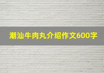 潮汕牛肉丸介绍作文600字