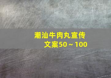 潮汕牛肉丸宣传文案50～100