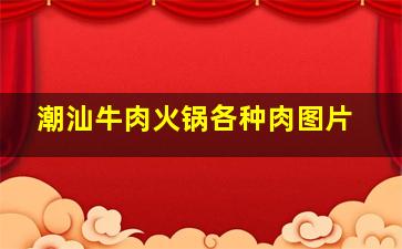 潮汕牛肉火锅各种肉图片