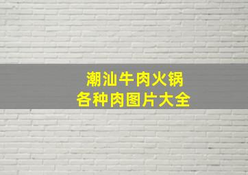 潮汕牛肉火锅各种肉图片大全