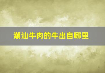 潮汕牛肉的牛出自哪里