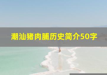 潮汕猪肉脯历史简介50字