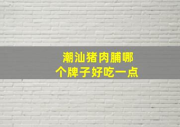 潮汕猪肉脯哪个牌子好吃一点