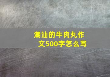 潮汕的牛肉丸作文500字怎么写