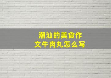 潮汕的美食作文牛肉丸怎么写