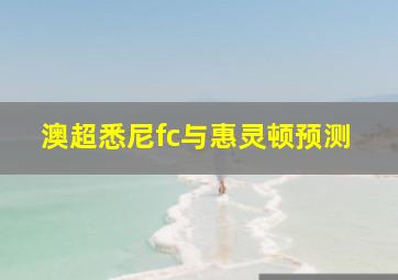 澳超悉尼fc与惠灵顿预测