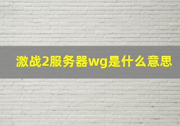 激战2服务器wg是什么意思