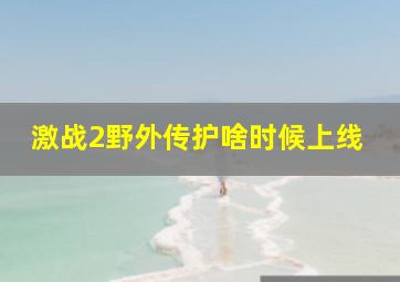 激战2野外传护啥时候上线