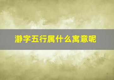 瀞字五行属什么寓意呢