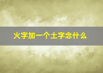 火字加一个土字念什么