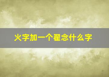 火字加一个翟念什么字