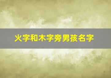 火字和木字旁男孩名字