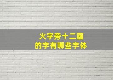 火字旁十二画的字有哪些字体