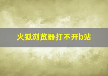 火狐浏览器打不开b站