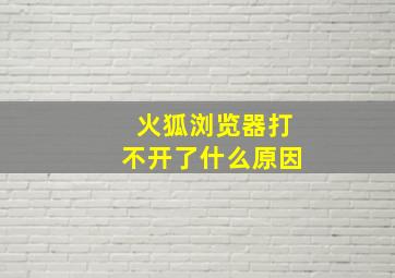 火狐浏览器打不开了什么原因