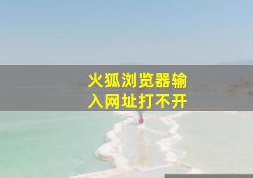 火狐浏览器输入网址打不开