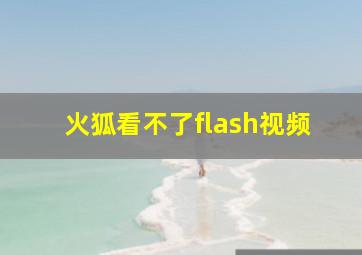 火狐看不了flash视频