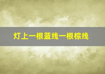 灯上一根蓝线一根棕线