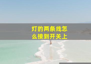 灯的两条线怎么接到开关上