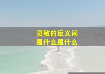 灵敏的反义词是什么是什么