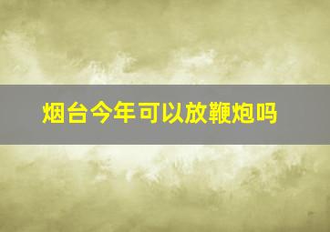 烟台今年可以放鞭炮吗