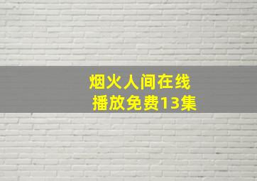 烟火人间在线播放免费13集