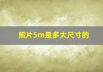 照片5m是多大尺寸的