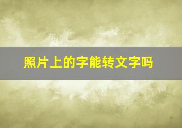 照片上的字能转文字吗