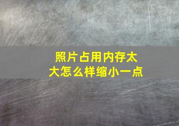 照片占用内存太大怎么样缩小一点