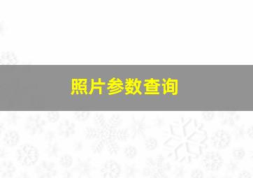 照片参数查询