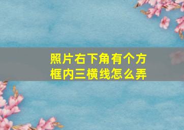 照片右下角有个方框内三横线怎么弄