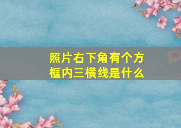 照片右下角有个方框内三横线是什么