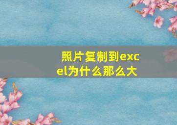 照片复制到excel为什么那么大