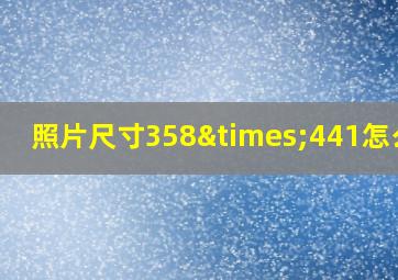 照片尺寸358×441怎么改