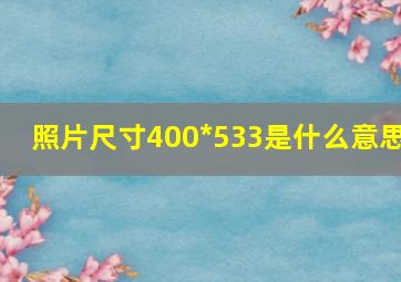 照片尺寸400*533是什么意思