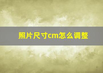 照片尺寸cm怎么调整